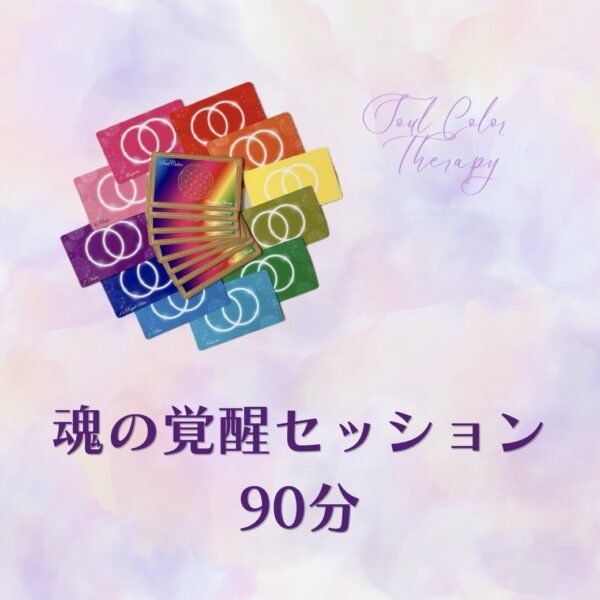魂の覚醒セッション ９０分