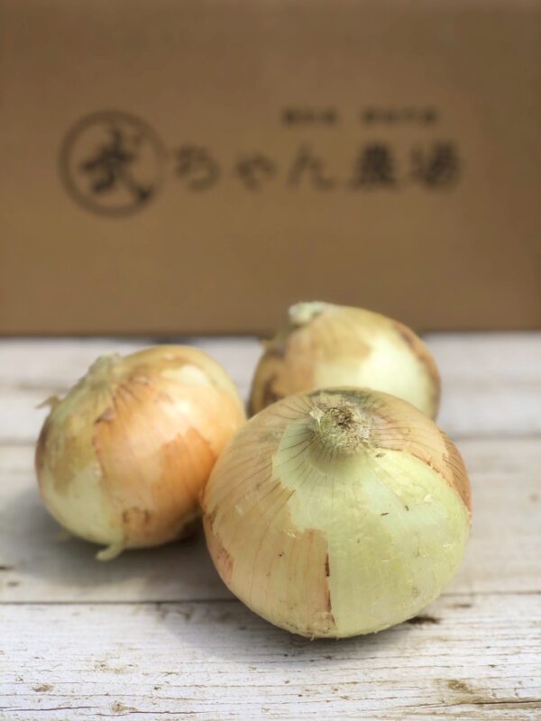 【イヤスタ限定】大玉玉ねぎ　”玉笑ちゃん”