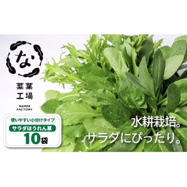 サラダほうれん草
