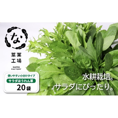 サラダほうれん草 20袋入