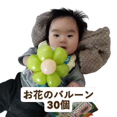 お花30