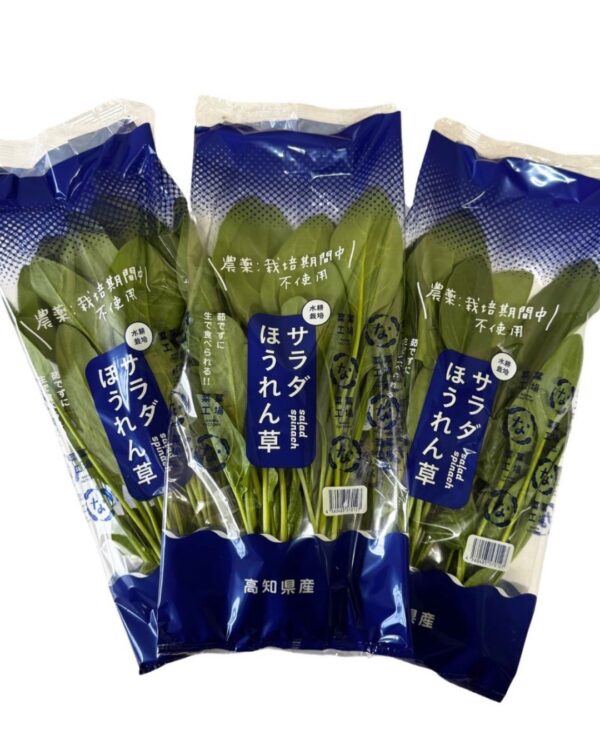 サラダほうれん草 20袋入