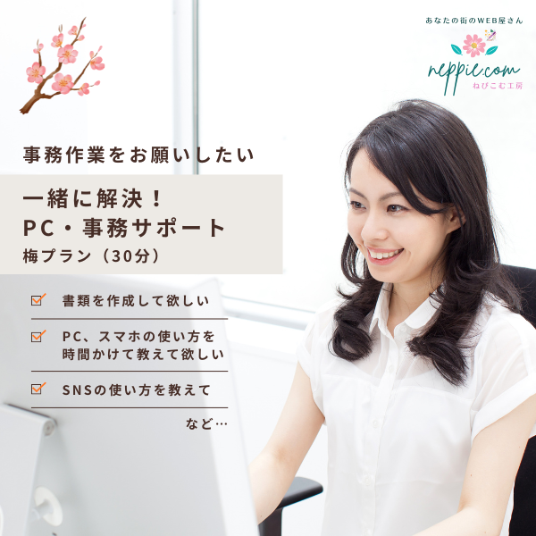 一緒に解決！PC・事務サポート：梅プラン（30分）