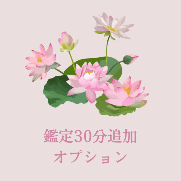 鑑定時間30分追加オプション（Lunaria〜あかり〜）