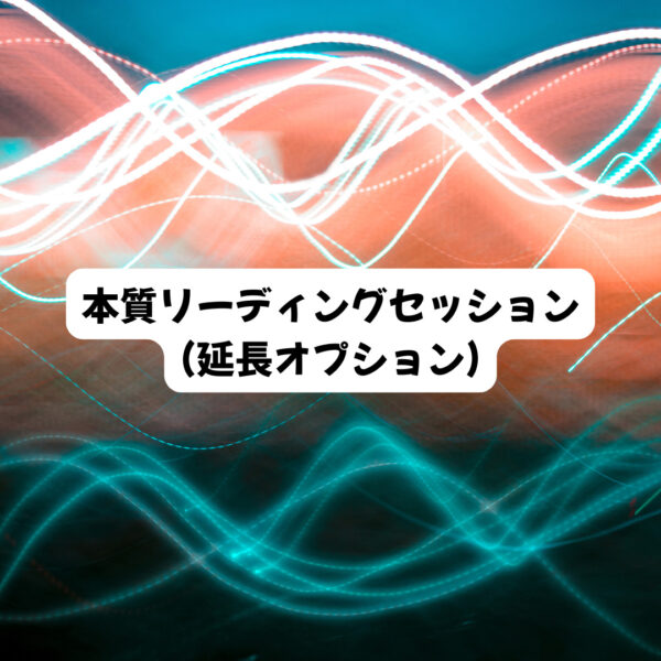 本質リーディングセッション(延長オプション)（てぃるゆに）