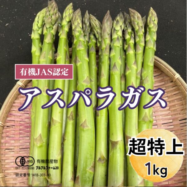 オーガニック夏秋採りアスパラガス３L　１ｋｇ（20本入り）