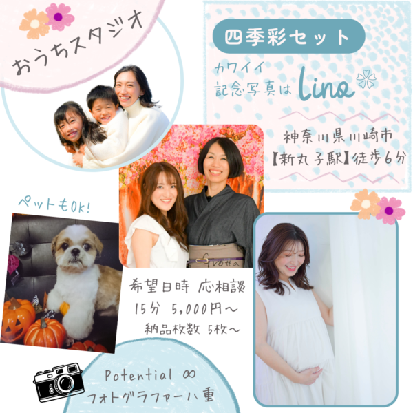 四季彩セット　スタジオ撮影