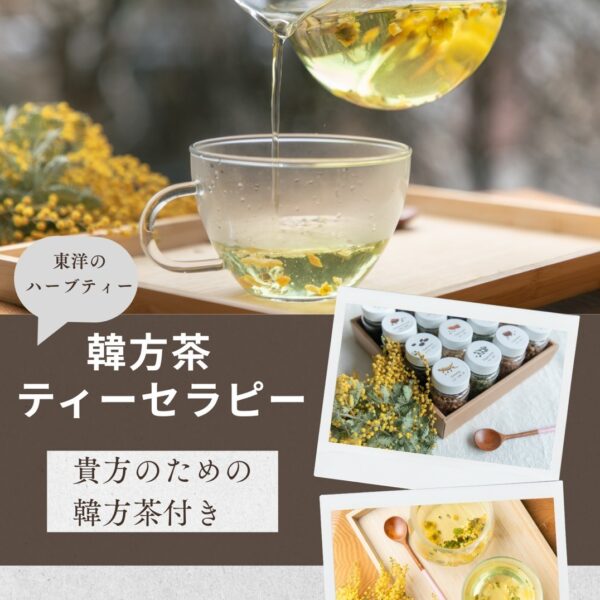 韓方茶ティーセラピー（韓方茶3パック付き）