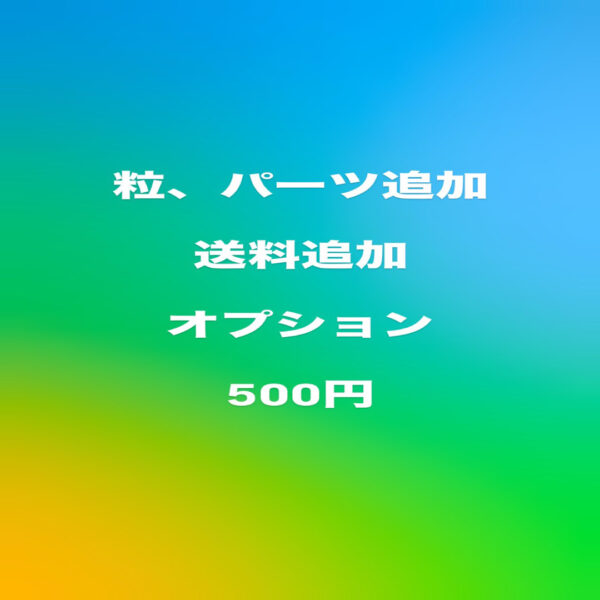 500円追加オプション（Rie）