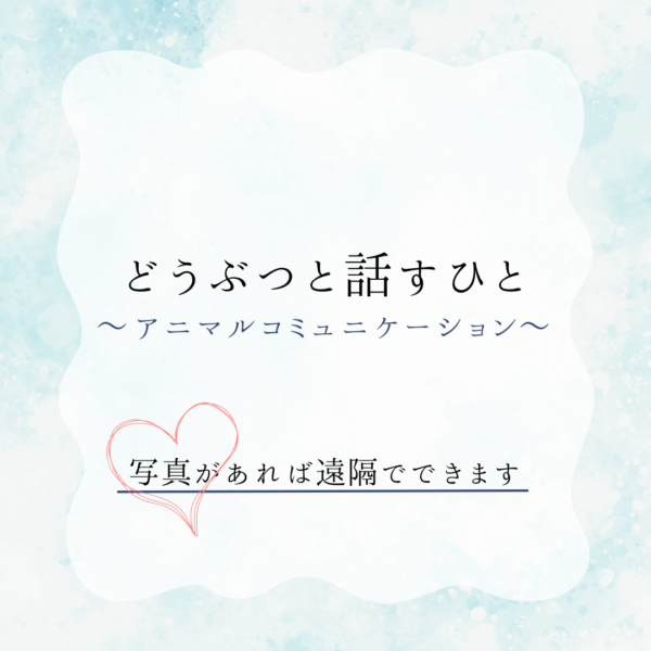 【あにまることば便】つながることば(はじめての方向け)