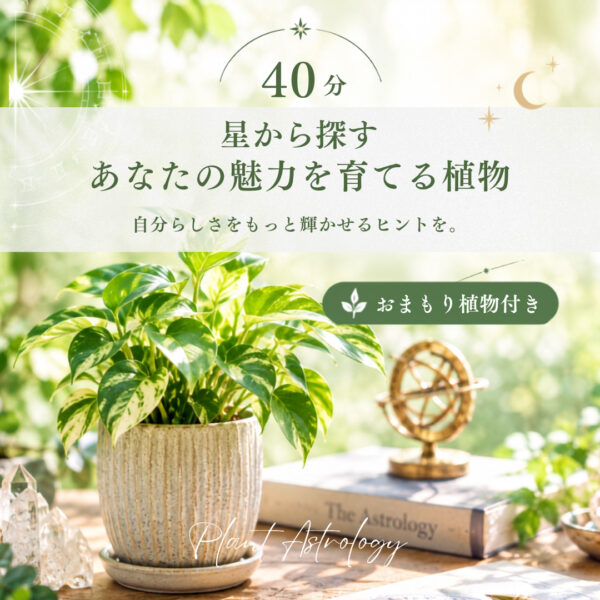 星から探す「あなたの魅力を育てる植物」40分・おまもり植物付き（星読みこころデザイナー 天彩 (Amairo)）