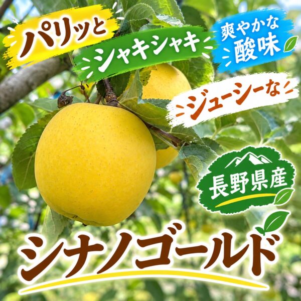 【限定10箱・予約販売】北信州産シナノゴールド 5kg（送料込）